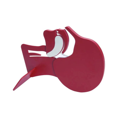 Laerdal cross section head